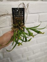 IMG_20221011_170402.jpg