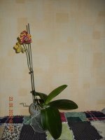 DSCN8623.JPG