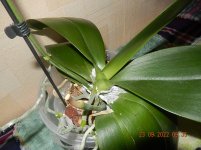 DSCN8626.JPG