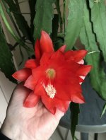 7CCDBC7A-4E0A-41B7-ABEB-83ACF2F00938.jpeg