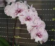 IMG_20221114_213220.png