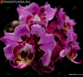 IMG_20221114_203803.png