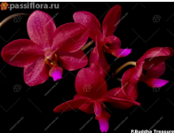 IMG_20221114_203735.png