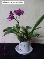 DSCN8656.JPG
