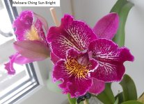 DSCN8665.JPG