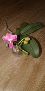 IMG_20221224_093744.jpg