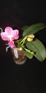 IMG_20221224_094145.jpg