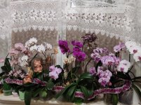IMG_20230106_181042.jpg