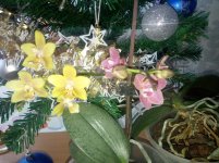 IMG_20230108_120424838.jpg