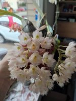 IMG_20230218_112122.jpg