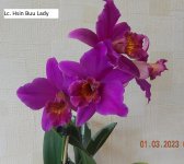 DSCN8722.JPG
