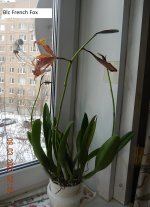 DSCN8735.JPG