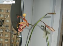 DSCN8736.JPG