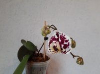 20230325_104748.jpg