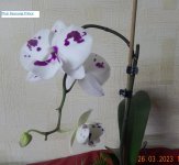 DSCN8759.JPG