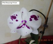 DSCN8760.JPG