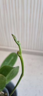 20230401_140753.jpg