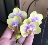 IMG_1960.jpeg