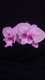 IMG_20230304_084639.jpg