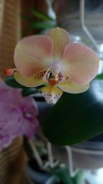 IMG_20230308_095318.jpg