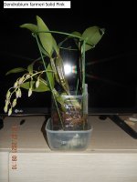 DSCN8158.JPG