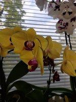 IMG-20230505-WA0004.jpg