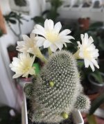 IMG_1885.jpeg