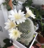 IMG_1884.jpeg