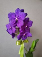 IMG20230727122927.jpg