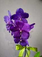 изображение_viber_2023-07-27_12-46-04-134-2.jpg