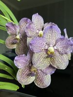 IMG_0874.jpeg