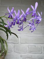 940811EB-3B98-41EA-ABB7-C08517D92F05.jpeg