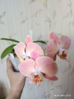 IMG_20230906_151211.jpg