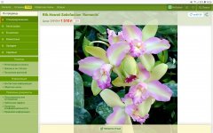 Screenshot_20230908-142636_Firefox.jpg