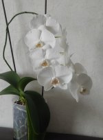 IMG_20230908_173408.jpg