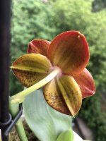 IMG_1454.jpeg