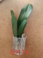 IMG_20240523_182335.jpg