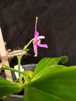 IMG_20240722_201222.jpg