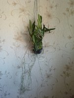 IMG20250223141847.jpg