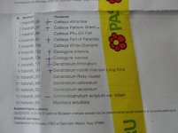 DSC07873.JPG