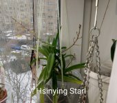 IMG_20250410_144531.jpg