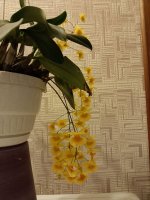 IMG_20250415_171209.jpg