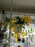 IMG_20250415_171312.jpg