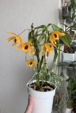 IMG_3306.jpeg