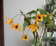 IMG_3307.jpeg