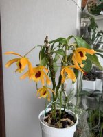 IMG_3308.jpeg