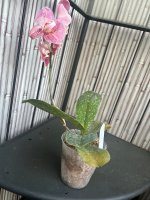 d9719160-f134-4802-9639-e97c64e88ab7.jpeg