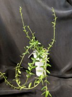 IMG_20250528_115428.jpg