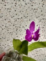 IMG_20250626_180027.jpg
