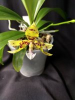 IMG_20251019_092941.jpg